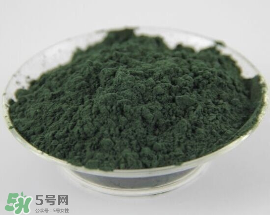 螺旋藻粉怎么吃？螺旋藻粉的功效與作用
