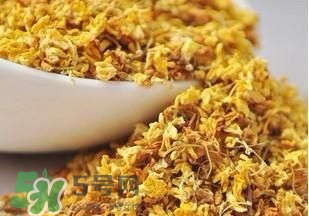 桂花茶怎么泡？桂花茶泡水喝的禁忌 