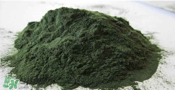 螺旋藻粉怎么吃？螺旋藻粉的功效與作用