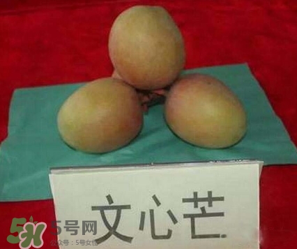 芒果有哪些品種？哪種芒果最好吃？