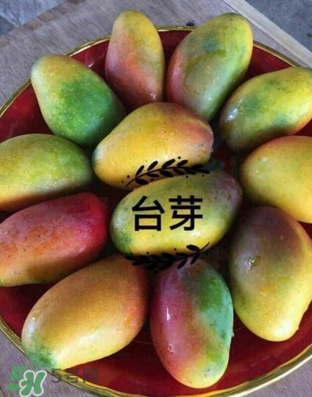 芒果有哪些品種？哪種芒果最好吃？