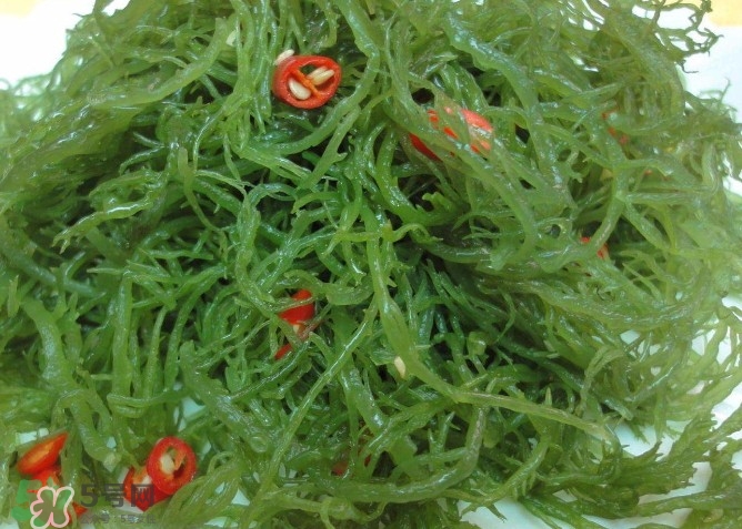 螺旋藻是海帶嗎？螺旋藻是海藻嗎？