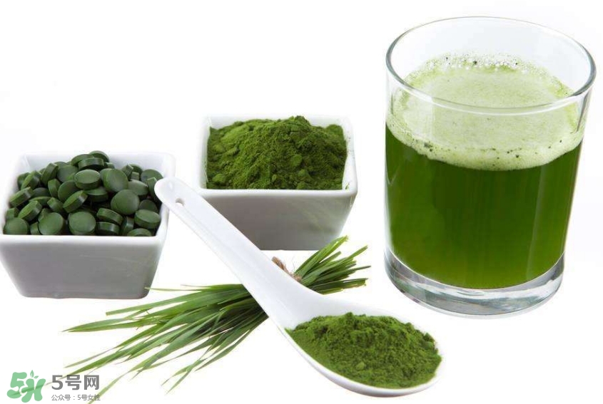 怎么辨別螺旋藻的真假？買螺旋藻怎么挑？