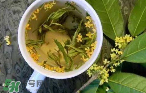 桂花茶怎么泡好喝？桂花茶怎么制作？