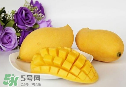 芒果有哪些品種？哪種芒果最好吃？