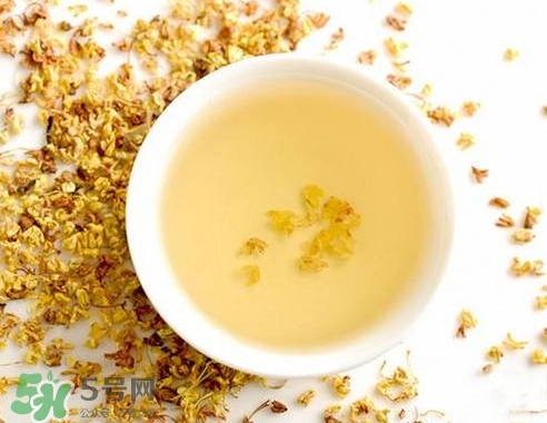 桂花茶怎么泡好喝？桂花茶怎么制作？