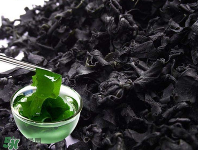 螺旋藻是海帶嗎？螺旋藻是海藻嗎？