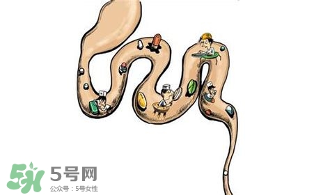 螺旋藻能治胃病嗎？有胃病日常需要注意什么？