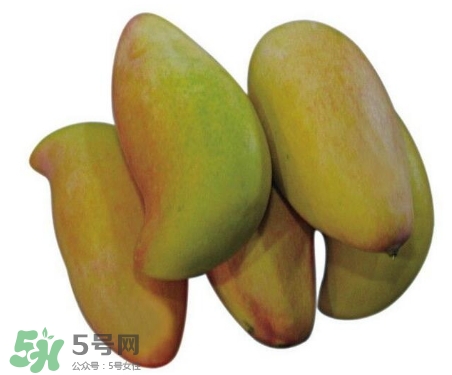 芒果有哪些品種？哪種芒果最好吃？