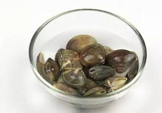 蛤蜊多少錢一斤？2017蛤蜊市場(chǎng)價(jià)多少