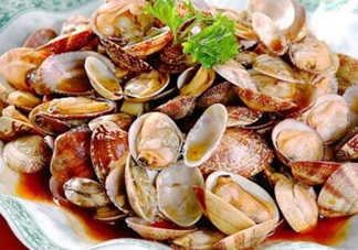 蛤蜊和花甲一樣嗎？蛤蜊和花甲的區(qū)別