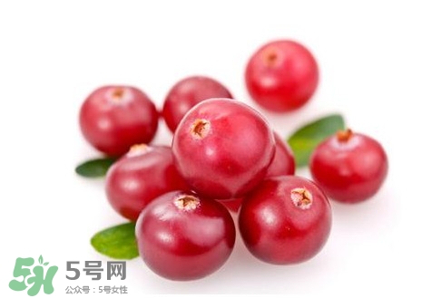 蔓越莓和越橘有什么區(qū)別 蔓越莓多少錢一斤 蔓越莓和越橘有什么區(qū)別 蔓越莓多少錢一斤