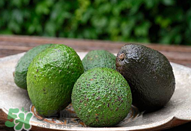 牛油果怎么催熟？牛油果可以蒸熟吃嗎？