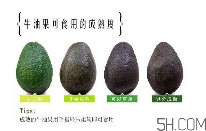 牛油果和香蕉一起能多吃嗎？牛油果挑什么樣的好？