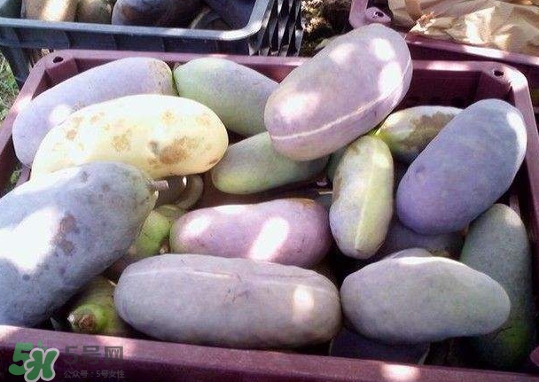 八月瓜可以補(bǔ)腎嗎？八月瓜的營養(yǎng)價值