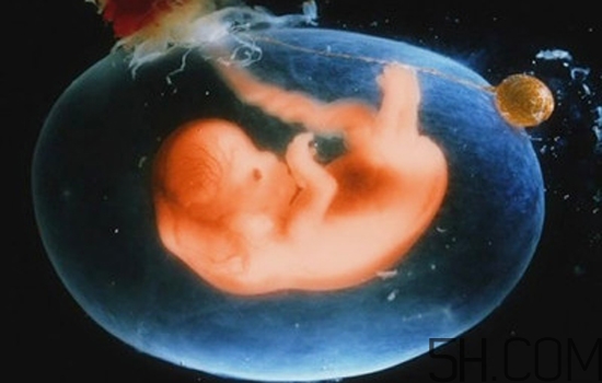 羊水過(guò)少怎么補(bǔ)最快？羊水過(guò)少怎么治療？