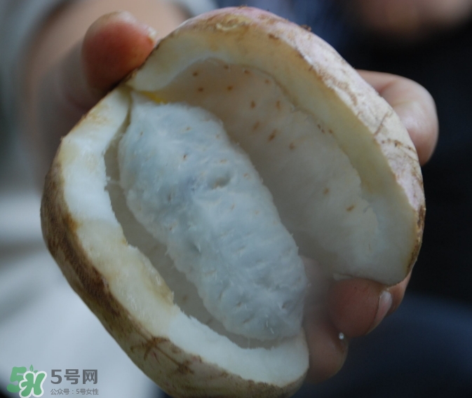 八月瓜可以經(jīng)常吃嗎？八月瓜可以多吃嗎？