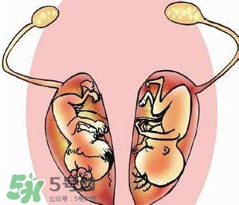 雙子宮對懷孕有影響嗎？雙子宮懷孕要注意什么？