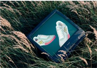 kenzo move運(yùn)動(dòng)鞋多少錢？kenzo move運(yùn)動(dòng)鞋在哪買？