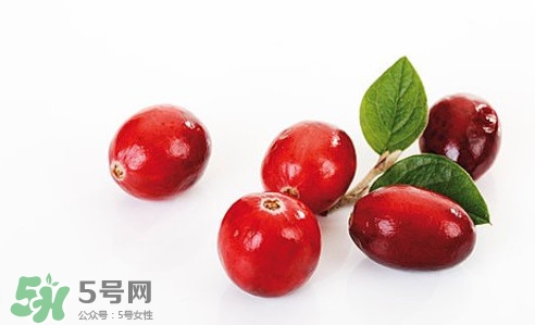 蔓越莓和越橘有什么區(qū)別 蔓越莓多少錢一斤 蔓越莓和越橘有什么區(qū)別 蔓越莓多少錢一斤