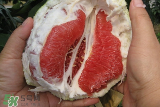 紅肉蜜柚可以儲存多久？紅肉蜜柚怎么挑選