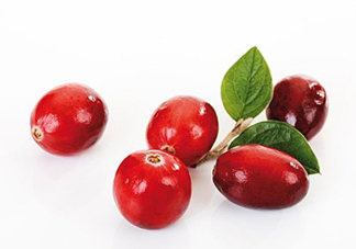 蔓越莓和越橘有什么區(qū)別？蔓越莓多少錢一斤2017？