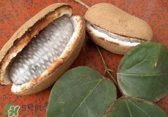 八月瓜能放冰箱嗎？八月瓜怎么保存？