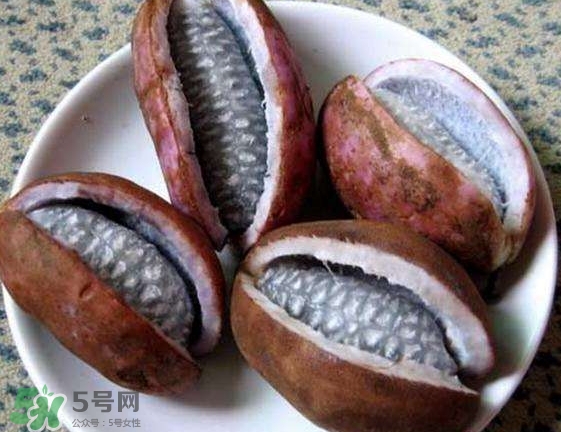 八月瓜可以美容嗎？八月瓜怎么吃有美容效果？