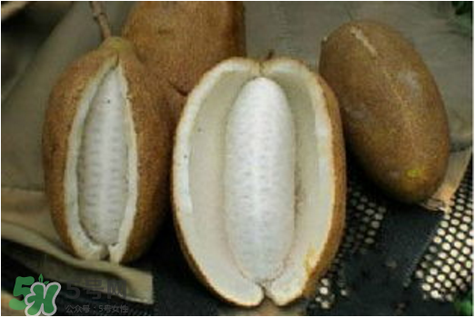 八月瓜可以美容嗎？八月瓜怎么吃有美容效果？