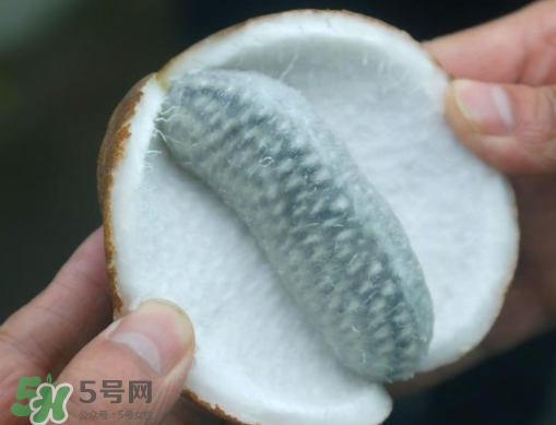 八月瓜可以補(bǔ)腎嗎？八月瓜的營養(yǎng)價值