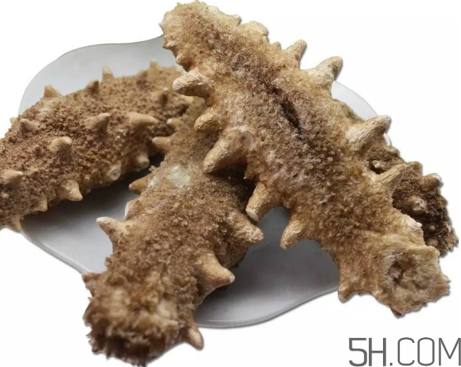 海參顏色深好還是淺好？海參顏色發(fā)白時怎么回事？