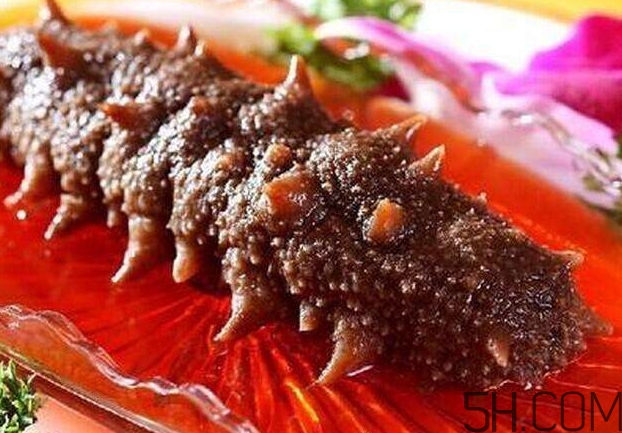 海參能和西紅柿一起吃嗎？海參和什么一起吃最好？