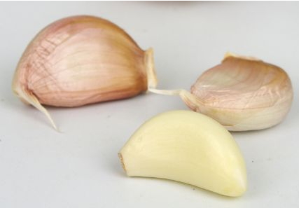 大蒜泡酒能釣魚嗎？大蒜泡酒釣魚的方法