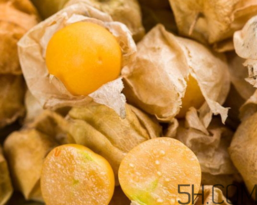 姑娘果能多吃嗎？姑娘果一次吃多少？