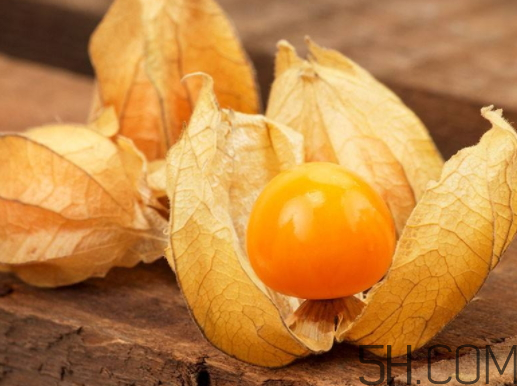 姑娘果能多吃嗎？姑娘果一次吃多少？