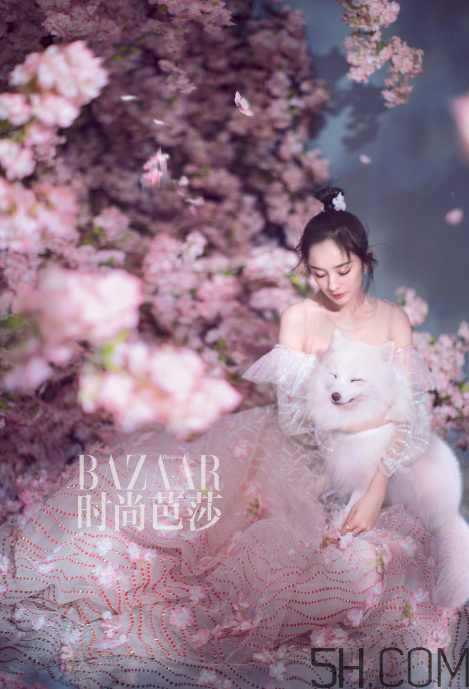 臥蠶可以用脂肪填充嗎？臥蠶可以打玻尿酸么？