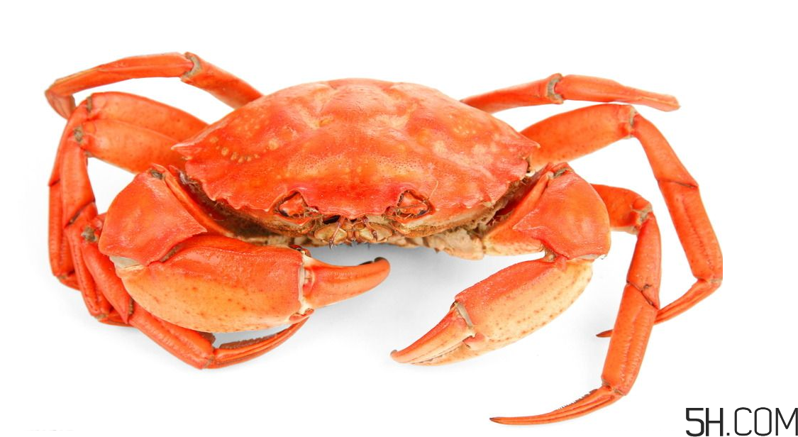 螃蟹煮多久？螃蟹的價格