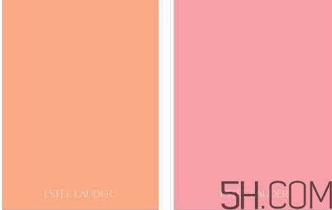 象牙白是什么顏色？象牙白是黃調(diào)還是粉調(diào)