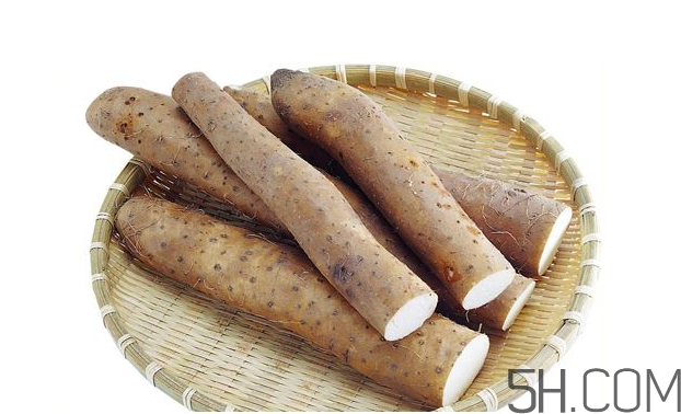 山藥發(fā)芽怎么處理？山藥的功效及作用