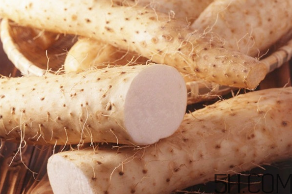 山藥適合哪些人食用？如何儲存山藥？