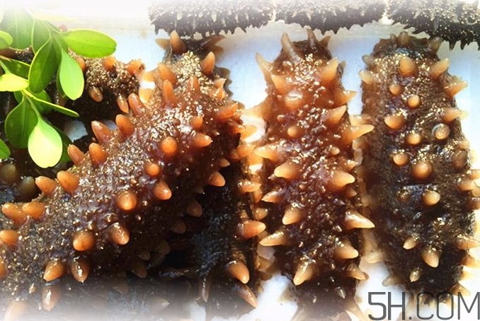 海參能和西紅柿一起吃嗎？海參和什么一起吃最好？