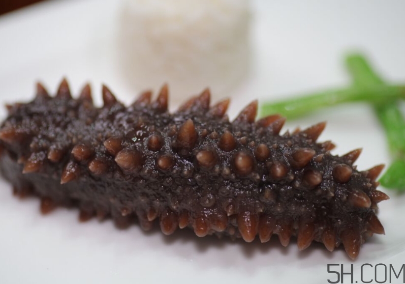 海參是酸性還是堿性？海參是涼性還是熱性？