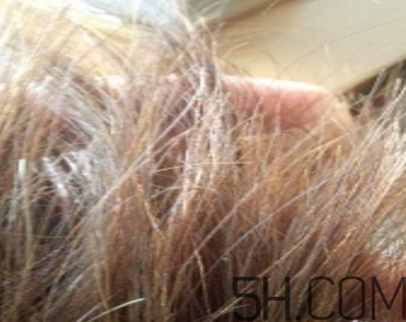 韻之堂是什么牌子？韻之堂洗發(fā)水怎么樣？