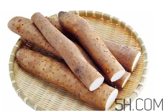 山藥冬天怎么保存不爛？山藥可以和白蘿卜一起吃嗎？