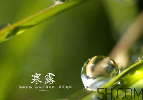 2017年寒露會下雨嗎？寒露下雨好嗎？