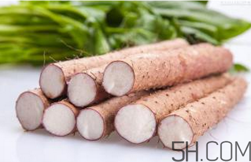 山藥和白蘿卜可以一起燉湯嗎？冬天吃山藥的五大好處