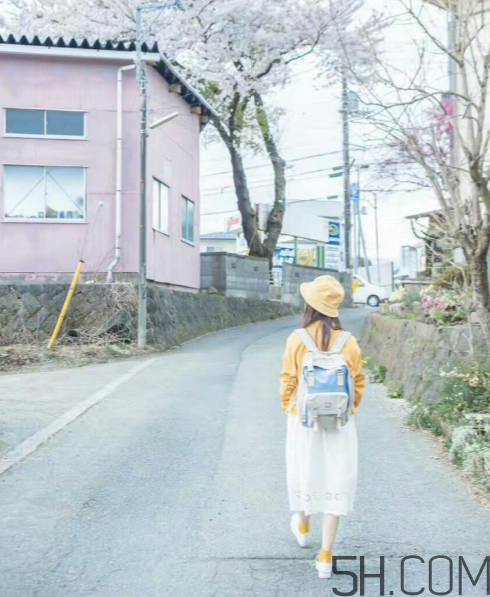 doughnut雙肩包怎么樣？doughnut雙肩包價格