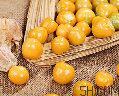 姑娘果是燈籠果嗎？姑娘果有幾種？