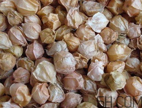 姑娘果是燈籠果嗎？姑娘果有幾種？