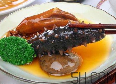 海參是海鮮嗎？海參是動物還是植物？